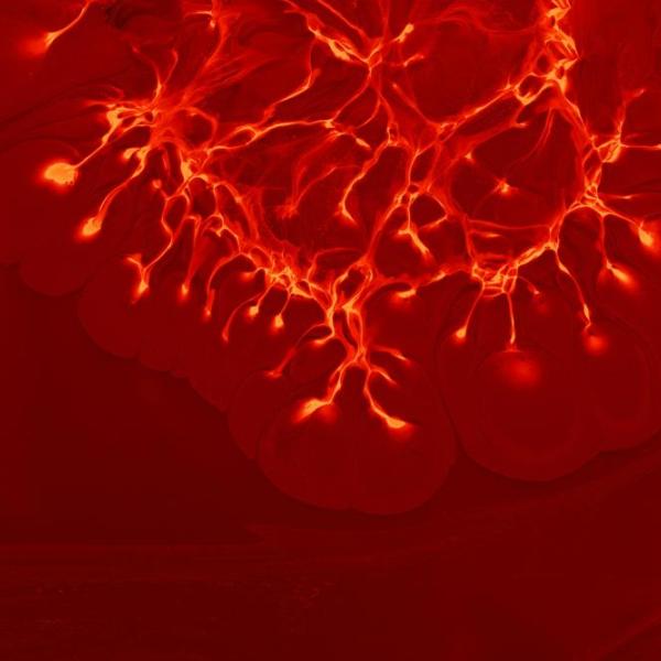 Close-up of illuminated nerve cells or neurons on red background, representing autonomic nervous system activation and sexual pleasure pathways